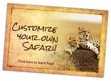 Customerize Your Own Safari